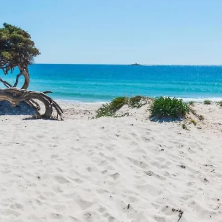 Aleph Guest House, Relax A Due Passi Dal Mare Fertilia